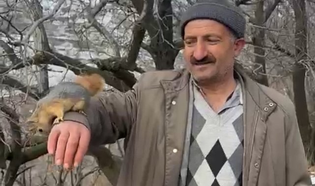 Bahçesaray&#039;ın sevimli sincabı ilgi odağı oldu