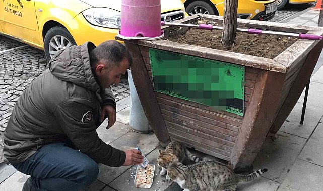 Bayburtlu taksici siftahı kedileri besleyerek yapıyor