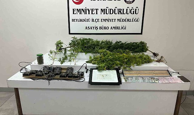 Beylikdüzü&#039;nde uyuşturucu serasına çevrilen eve baskın: 1 gözaltı