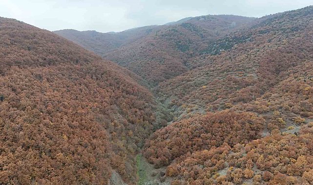 Bilecik'te sonbahar manzaralarını görenler hayran kalıyor