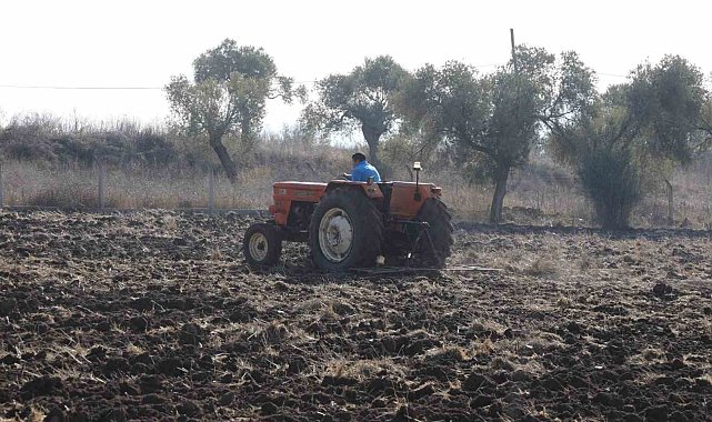 Bodrum Belediyesi'nden karakılçık buğday ekimi