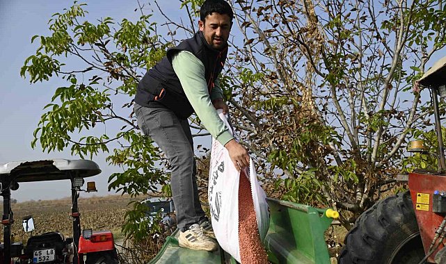 Büyükşehirin tohumları toprakla buluştu