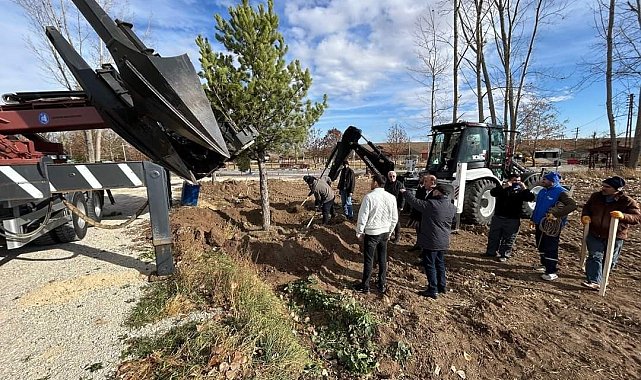 Çorum'un gözde mekanlarından olan Veli Çayırı'ndaki otopark yeşille buluşturuluyor