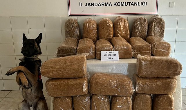 Gümüşhane'de 138 kilogram kaçak tütün ele geçirildi