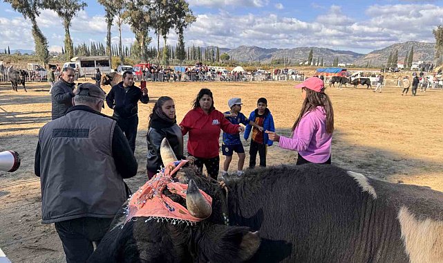 Güreşi kazanınca davul zurna eşliğinde oynadı