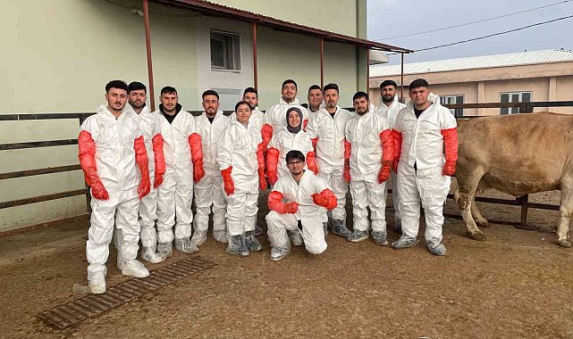 Iğdır&#039;da veteriner sağlık teknisyenlerine suni tohumlama kursu düzenlendi