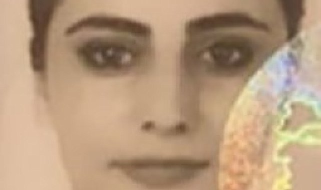 İstanbul'da denizde kaybolan abla ve erkek kardeşinin yurt dışından tatil için Türkiye'ye geldiği ortaya çıktı