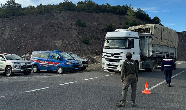 Kaçak orman emvali ile ilgili denetimler sürüyor
