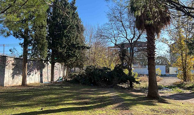 Kahramanmaraş'ta 315 ağaç devrildi