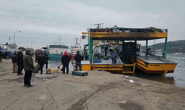 Karadeniz Ereğli Limanı'nda hamsi hareketliliği