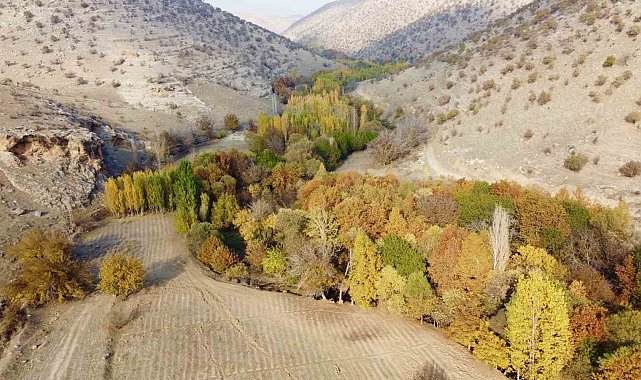 Karasu Çayı'nın sonbahar güzellikleri havadan görüntülendi