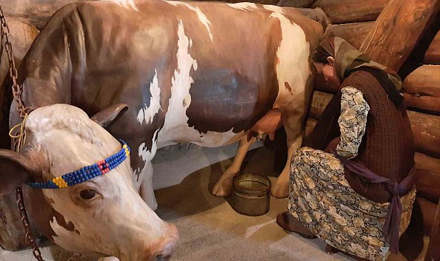 Kars Peynir Müzesi yoğun ilgi görüyor