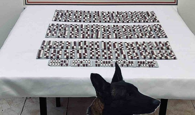Kastamonu'da 991 adet sentetik ecza hapı ile yakalanan şahıs tutuklandı