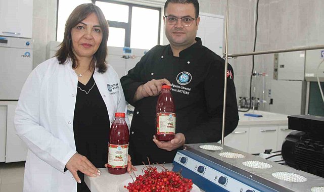 Kayseri Üniversitesi gilaburu şerbeti üretti, patent başvurusu yaptı