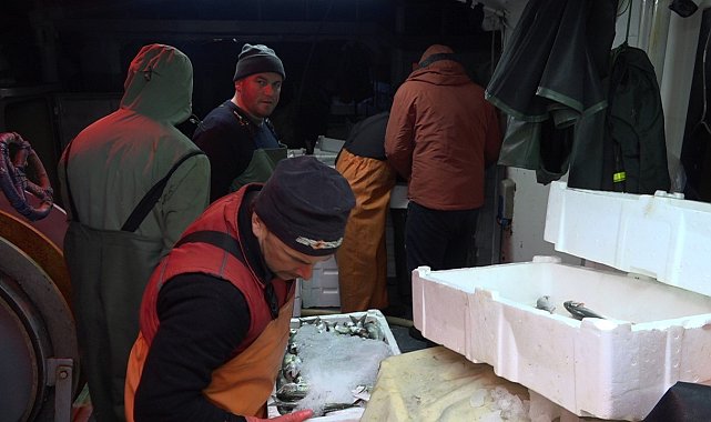 Kırklareli'nde istavrit ve çinekop bolluğu