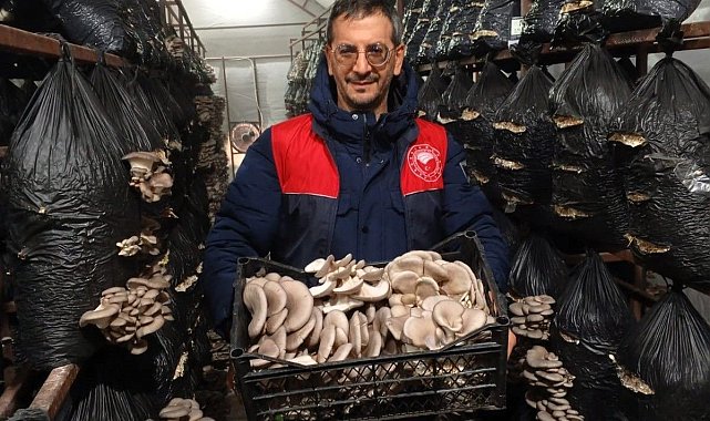 Kırklareli'nde mantar üretimi yapan işletme denetlendi