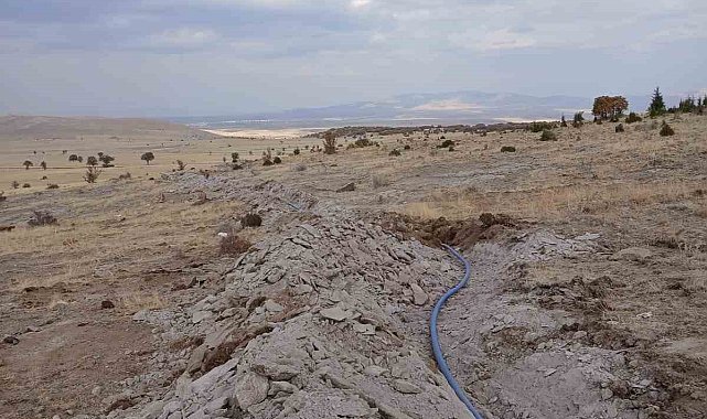 Kırsalda hayvancılığa büyük destek