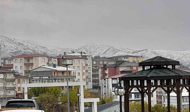 Kulp ilçesinde kar yağışı