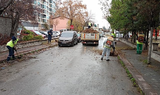 Kütahya'da sonbahar temizliği, belediye ekipleri sahada