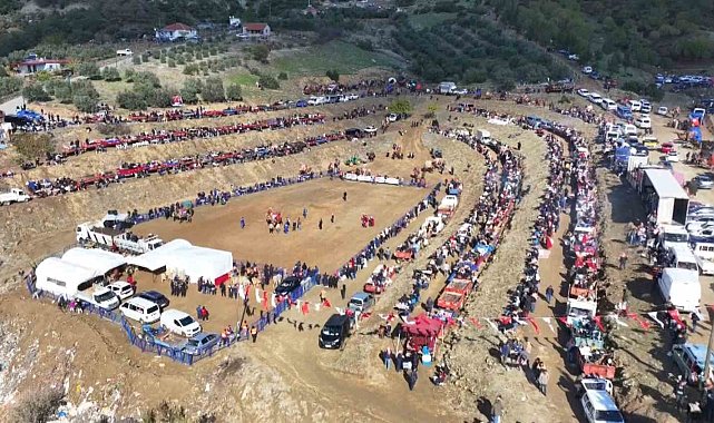 Kuyucak'ta pehlivan develer şampiyonluk için güreşti