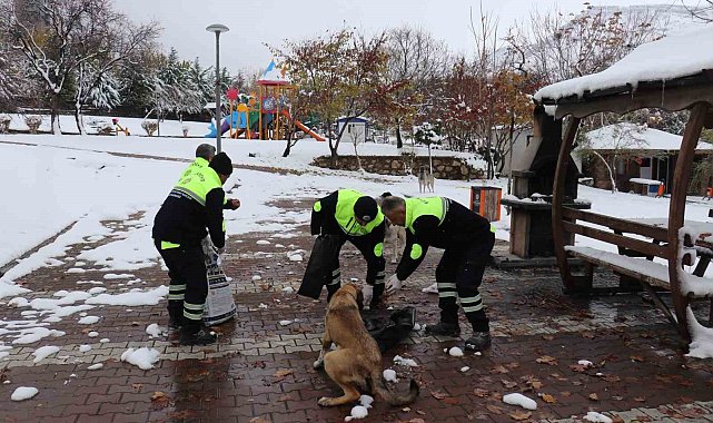 Malatya'da kış şartlarında sokak ve yaban hayvanları unutulmadı