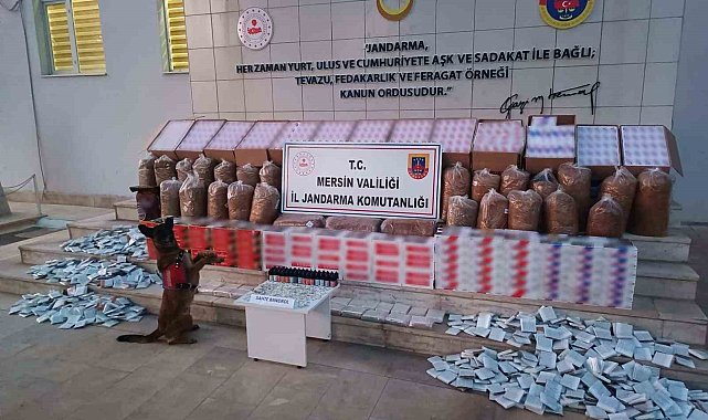 Mersin'de kaçakçılıkla mücadele, 208 bin adet makaron ele geçirildi