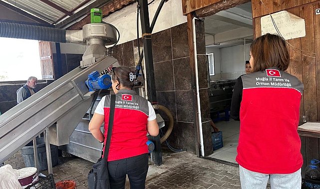 Muğla'da zeytinyağı denetimleri hız kesmeden devam ediyor