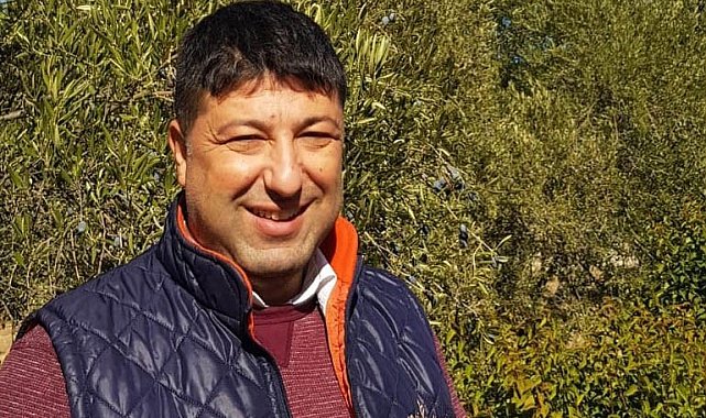 Oleolog Kıvrak: "Aşırı sıcaklar bu yıl zeytinyağını acı yaptı"