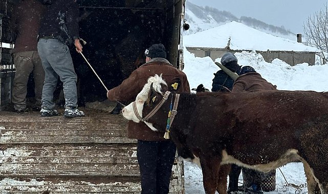 Ordu'da kar nedeniyle yaylada mahsur kalan vatandaşlar kurtarıldı