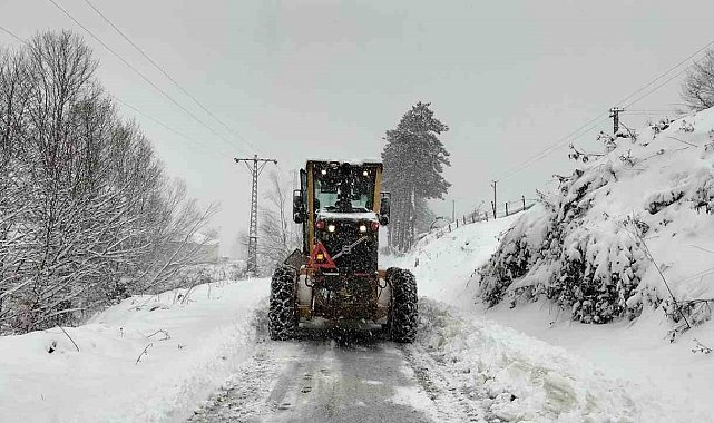 Ordu'da kar yağışı etkili oldu