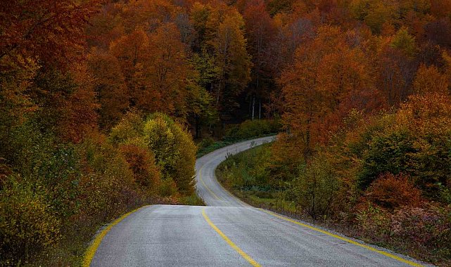 Ordu'da sonbaharda renk cümbüşü