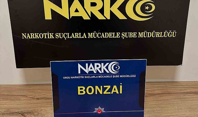 Ordu'da uyuşturucu operasyonlarında 2 tutuklama