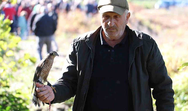 Rize'de atmacalar bu kez bıldırcın avında yarıştı