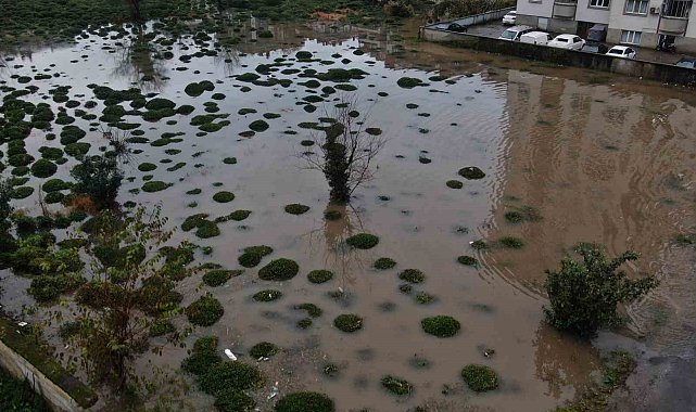 Rize'deki şiddetli yağıştan tarım arazileri de nasibini aldı