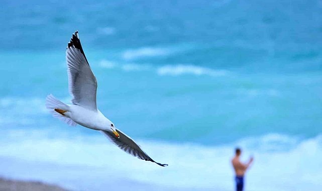 Rus turist fırtınanın oluşturduğu dev dalgalar arasında denize girdi, ceket giyenlere güldü