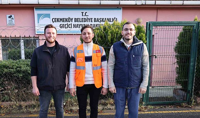 Şehre inen kurt belediye ekipleri tarafından yakalandı