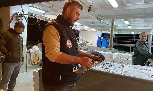 Sinop'ta balık boyu denetimleri: 5 ton balığa el konuldu