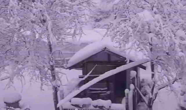 Sinop'ta kar yağışı