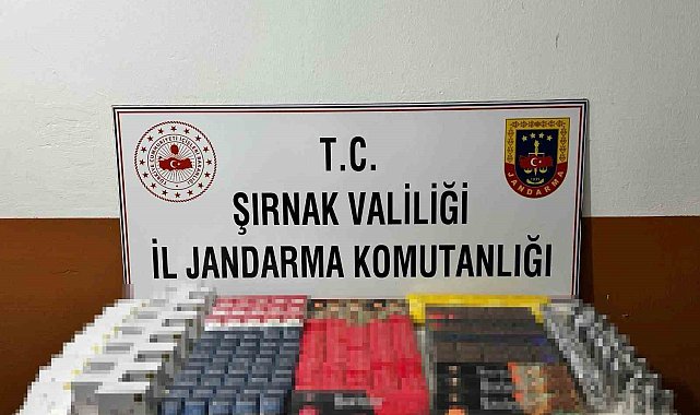 Şırnak'ta 11 şüpheliye işlem yapıldı