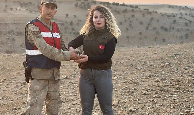 Şırnak'ta kukumav kuşu koruma altına alındı