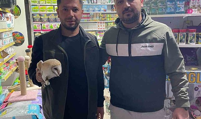Şırnak'ta yaralı olarak bulunan kuşlar tedavi altına alındı