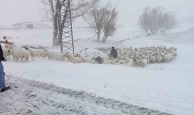 Sivas'ta sürüsü ile mahsur kalan çobanı Özel İdare ekipleri kurtardı