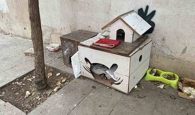 Soğuk havalarda can dostlarını unutmadılar