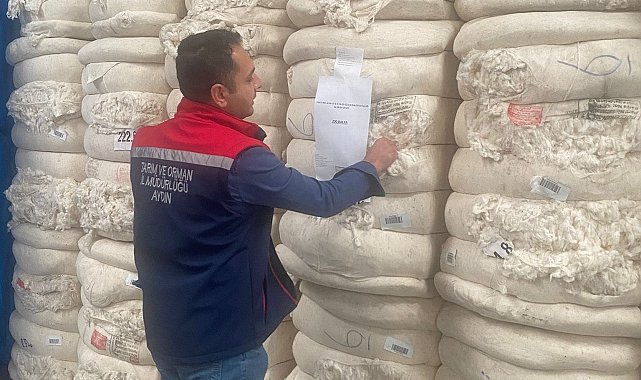 Söke&#039;nin pamukları Japonya yolcusu