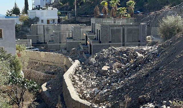 Suavi'nin Bodrum'daki arazisinde 40 ağaç kesildi