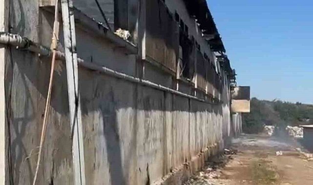 Tarsus'ta tavuk çiftliğinde yangın 33 bin civciv telef oldu