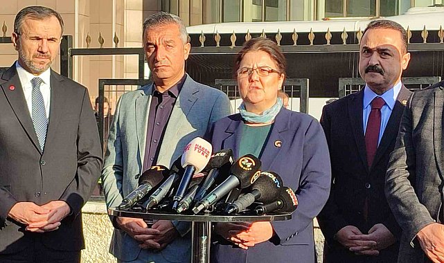 TBMM İnsan Haklarını İnceleme Komisyonu üyelerinden Yenidoğan Çetesi açıklaması