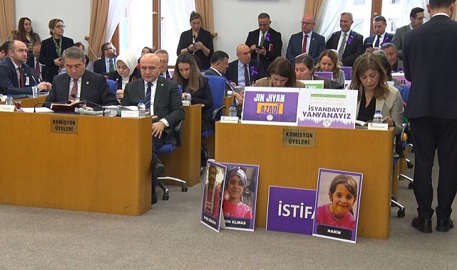 TBMM Plan ve Bütçe Komisyonu'nda 'kadın cinayetleri' tartışması