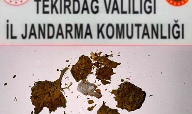 Tekirdağ'da uyuşturucu operasyonları: 3 ayrı olayda bonzai, esrar ve metamfetamin ele geçirildi