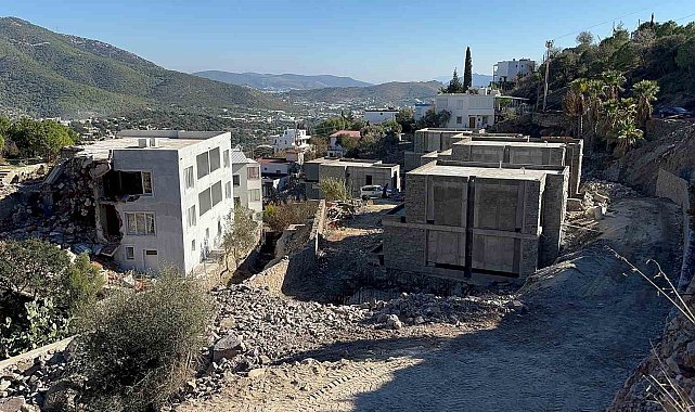 Ünlü sanatçı Suavi'ye Bodrum'da ağaç katliamı cezası